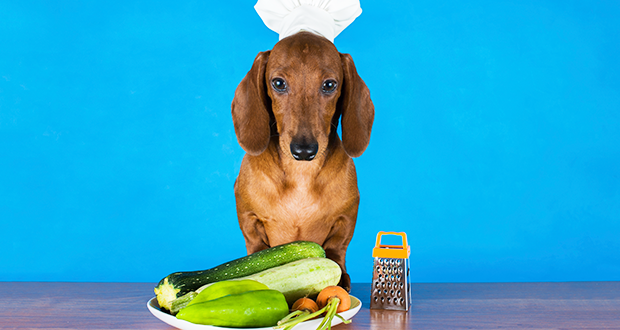 Ernährung & Verhalten – du bist was du isst?