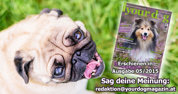 Zuchtpapiere – das Papier nicht wert, auf dem sie gedruckt sind?