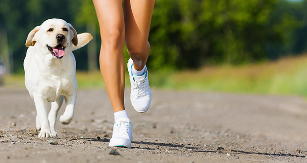 Joggen mit dem Vierbeiner – so geht’s
