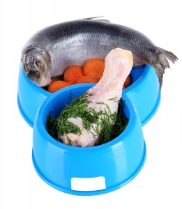 Natural food for pets in plastic bowls isolated on white