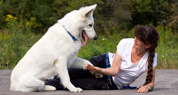 Beziehungskiste – ein Exkurs in die Welt der Mensch-Hund-Beziehung