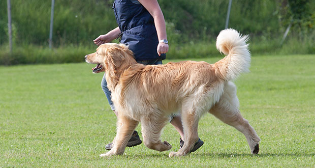 Lampenfieber? Optimales Prüfungstraining