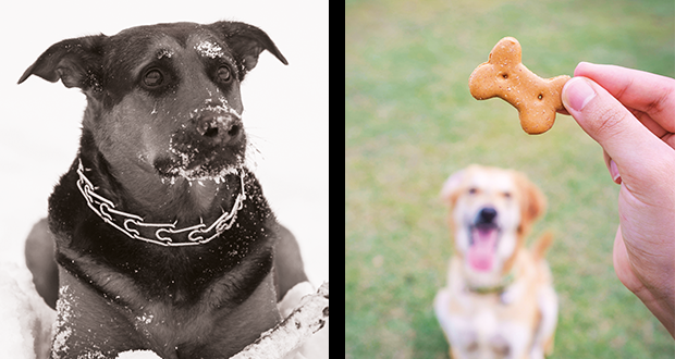 Ausbildung im Wandel der Zeit