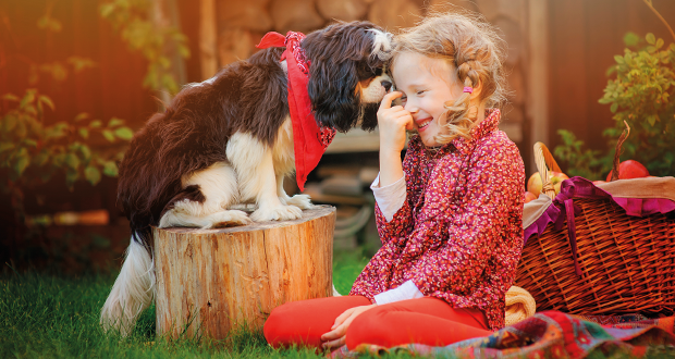 Hunde der Welt – Gesellschafts- und Begleithunde