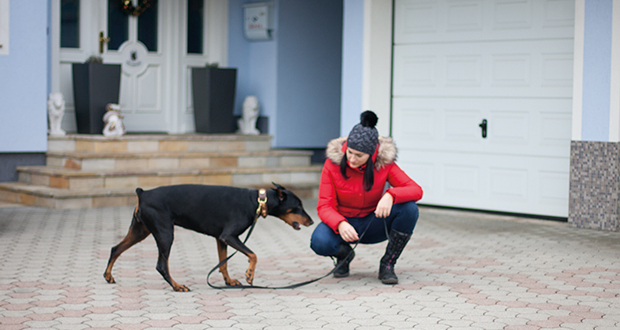 Wortlose Kommunikation – intensivste Form der Verständigung?