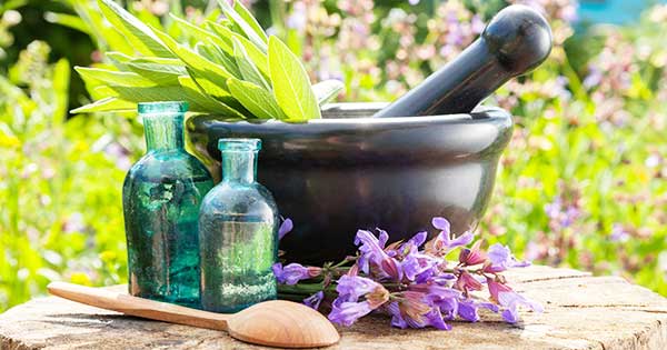 Wellness im Tierheim: Musik und Aromatherapie gegen Stress
