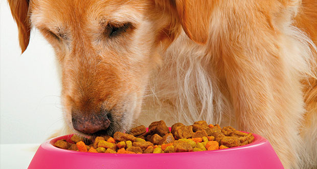 7 Qualitätskriterien für Fertigfutter