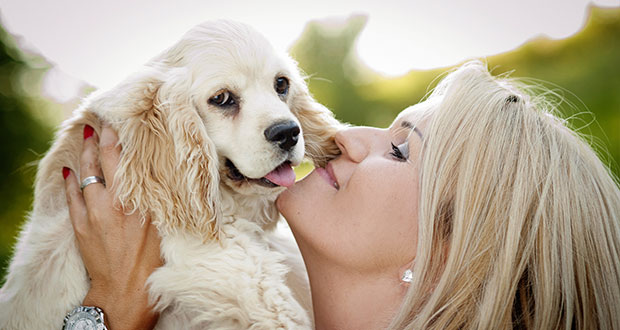 Welcher Hund passt zu mir oder – wenn das Aussehen kein Kriterium sein darf!