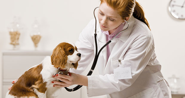 banneralltagssituationen