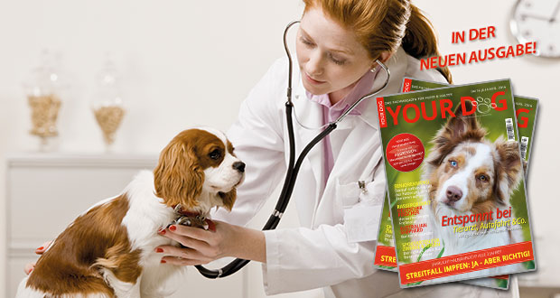 Alltagssituationen entspannt meistern