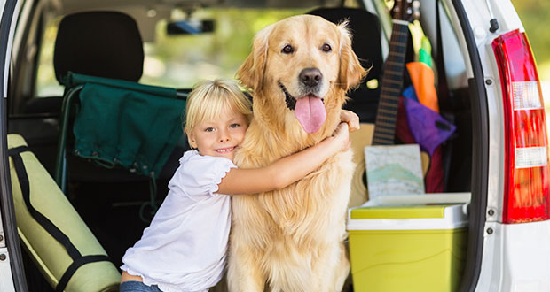 Essen auf Rädern – Fütterung im Urlaub