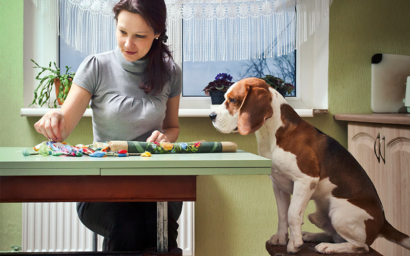 Vermenschlichung – wo liegen die Grenzen?