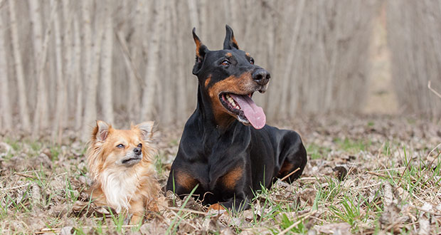 Klein & Groß – so klappt’s