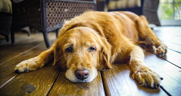 In Würde Abschied nehmen