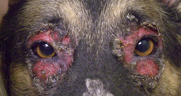 Haut & Haar – wenn es juckt und brennt