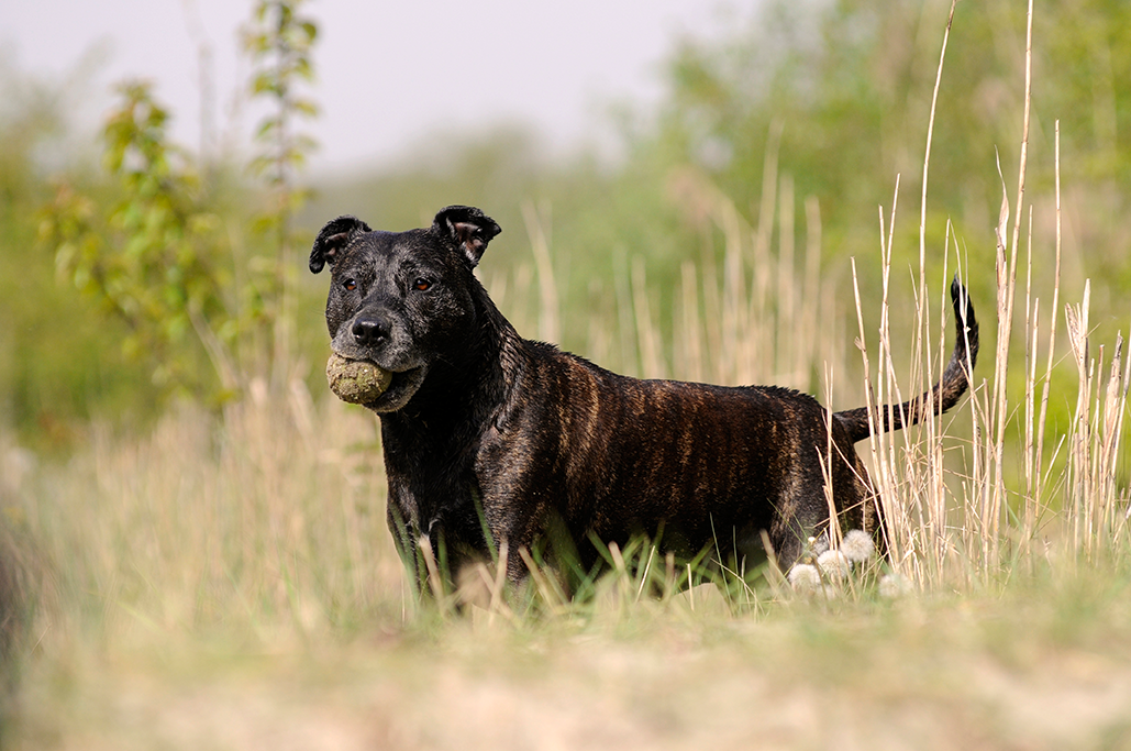 Anti-Aging für den Senior