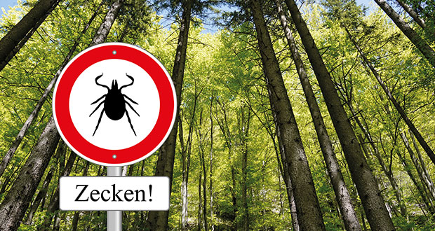Bravecto – sicherer Schutz vor Zecken, oder?