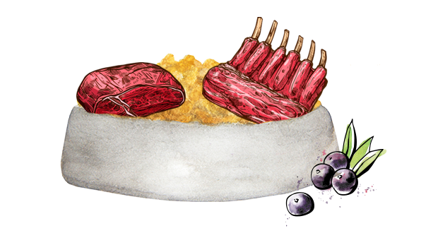BIO, BARF & Superfood – Trends im Hundenapf