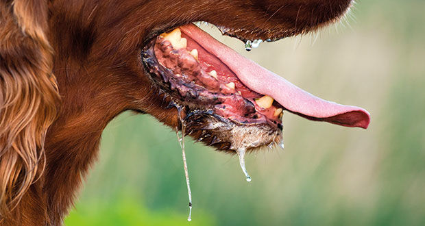 Wie viel Stress ist gesund?