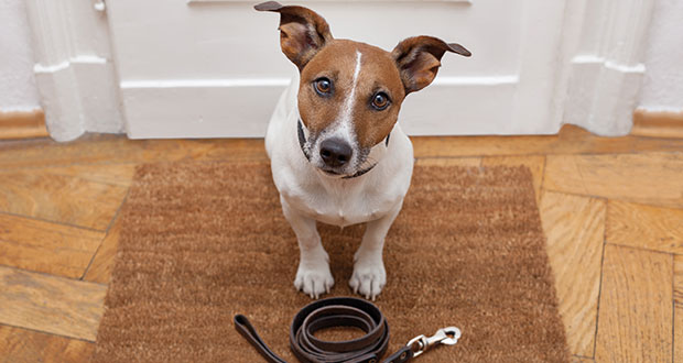 Rituale schaffen Vertrauen