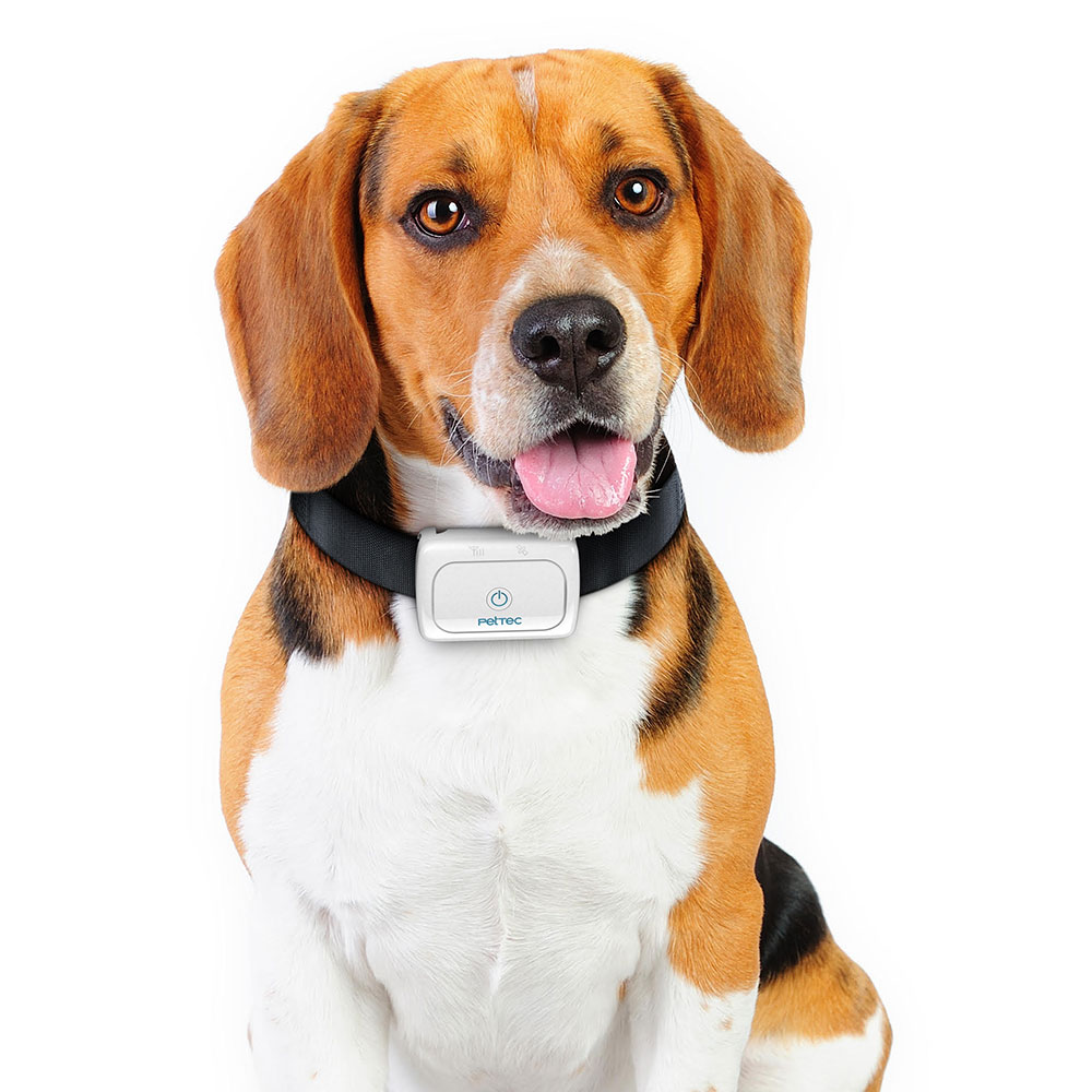 PetTec GPS Tracker für Hunde