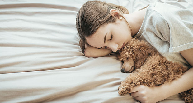 Stimmungsübertragung zwischen Mensch und Hund
