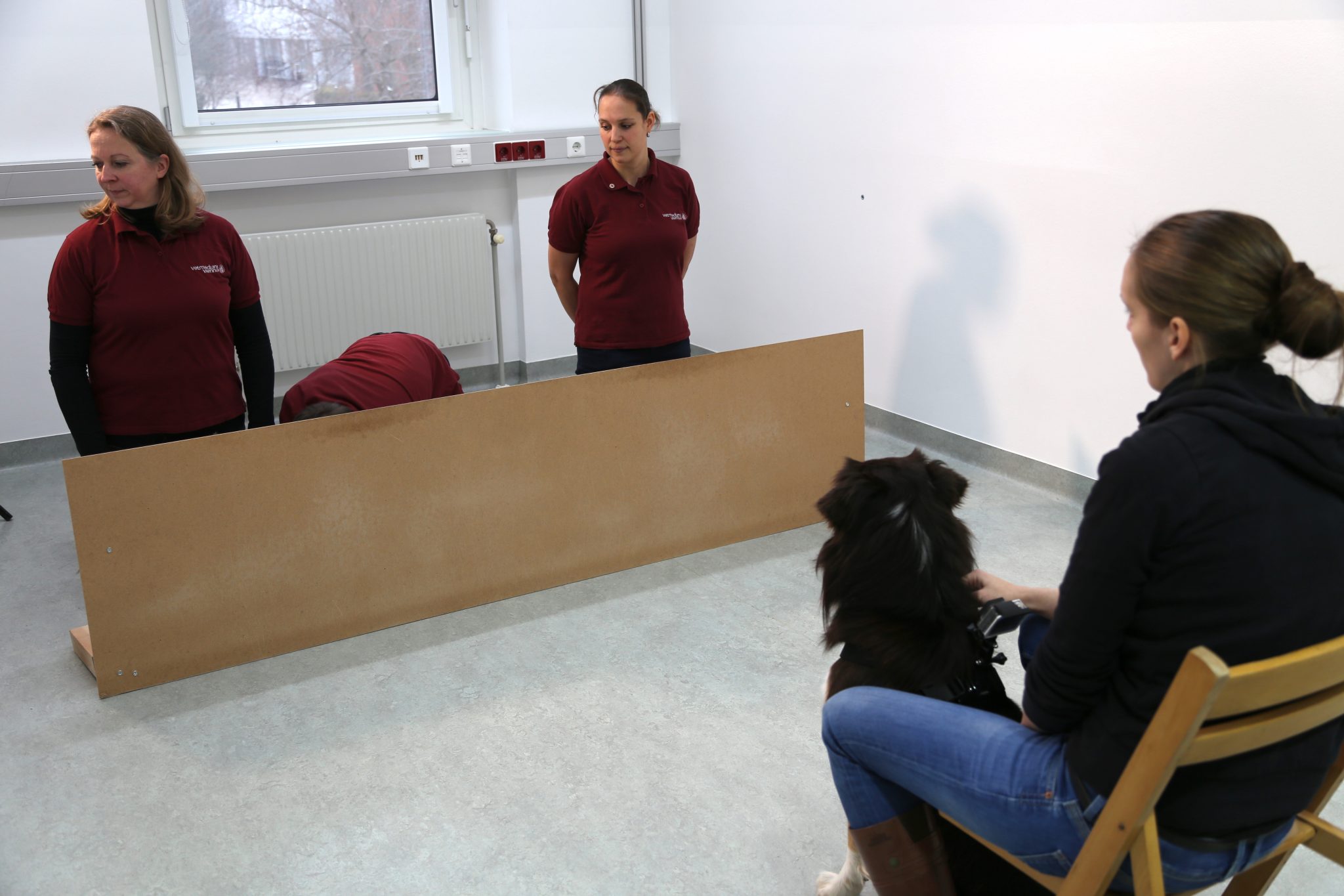 Du siehst etwas, was ich nicht seh – Hunde können die Perspektive des Menschen einnehmen