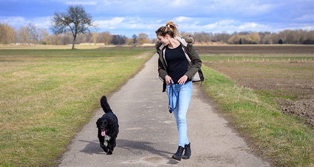 OGH-Urteil: grundsätzlich besteht keine Leinenpflicht