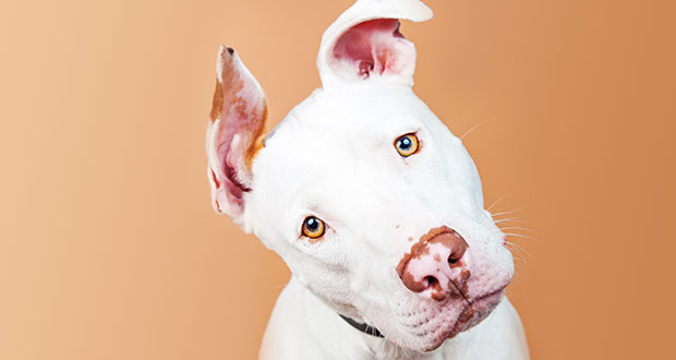 Pubertät – alle Regeln außer Kraft gesetzt?