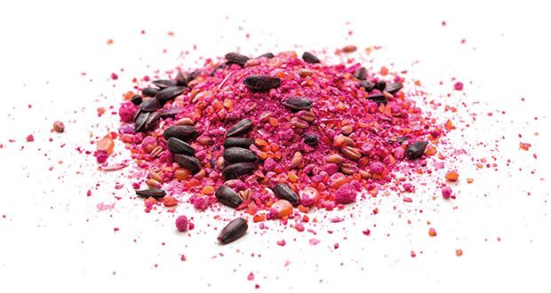 Vergiftung – Symptome erkennen und Prävention leisten