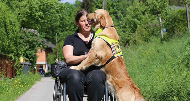 Assistenzhunde in Österreich