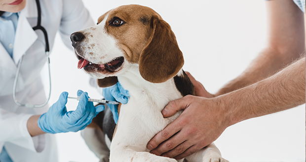 Impfmüdigkeit durch Unsicherheit