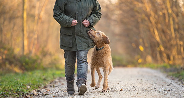 Tabu in Erziehung und Ausbildung – Strafen erlaubt?