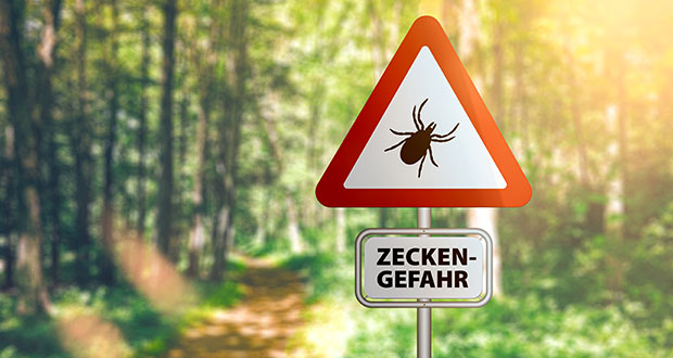 5 Fakten zu Zecken