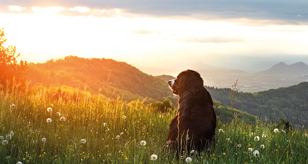 Lebenselexier Vitamin D