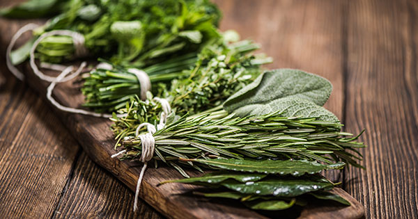 Die Kraft der Heilkräuter im Napf