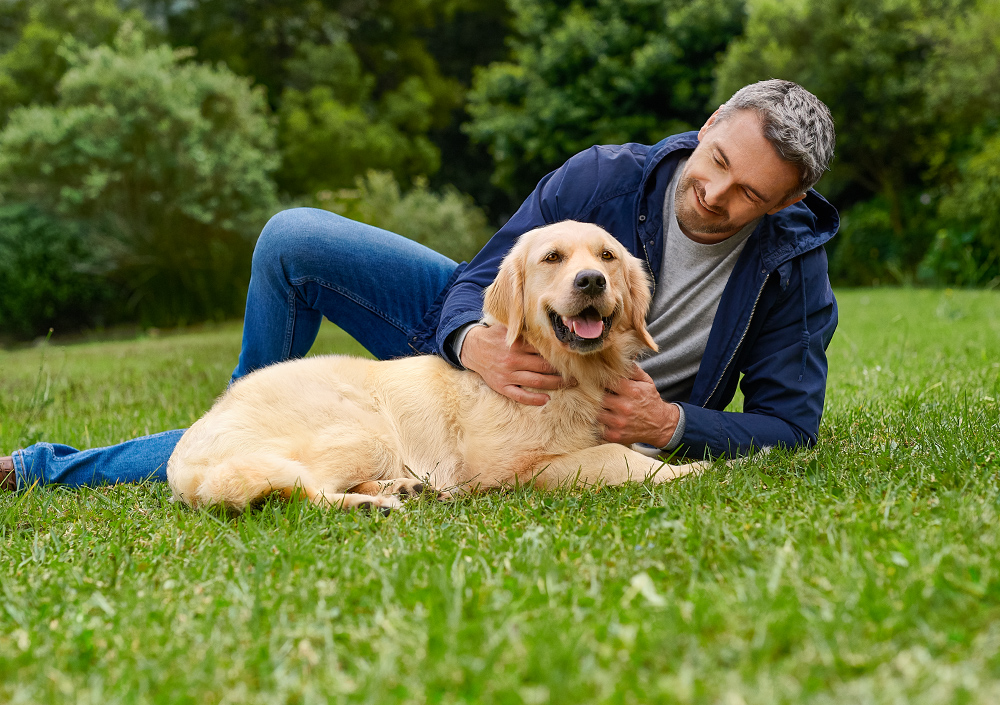 Fleischig frisch, wie Hunde es wollen!