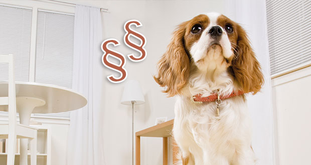 Mietrecht  – darf der Vermieter Haustiere verbieten?