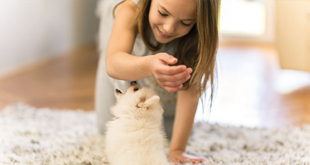 Ein Hund für Kinder – die richtige Wahl treffen