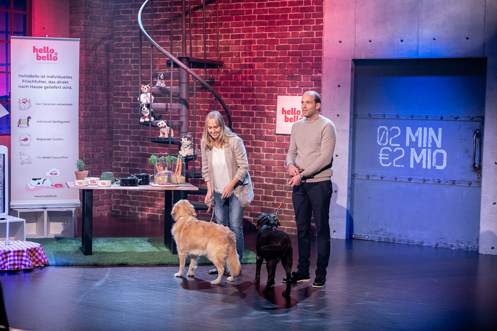 Frisch gekocht ist gesund. Auch für deinen Hund.