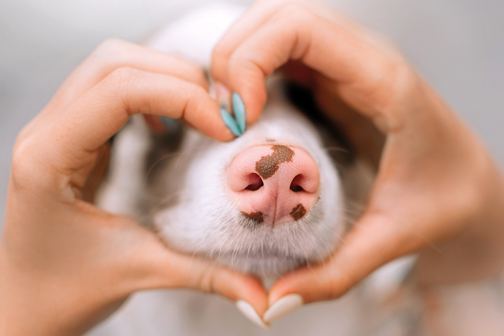 Fein gemacht! – Erziehung über Erfolgserlebnisse