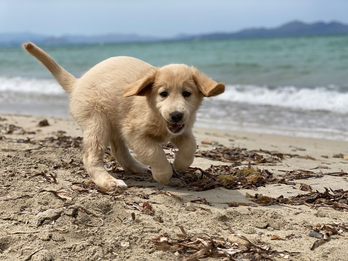 José Arce – Ein vertrauensvolles Fundament  ist die Basis für eine gute Beziehung