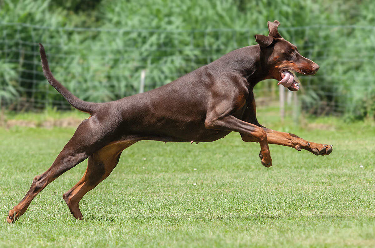 Arthrose, Spondylose & Co. – wenn es knackt und reibt