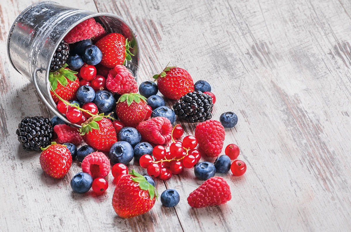 Heimische  Superfoods – denn das Gute liegt so nah!