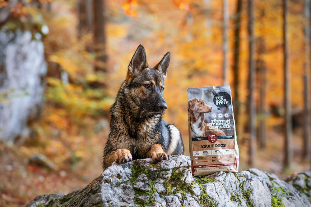 Tut Hunden Gutes! Österreichische Tierfuttermarke “The Goodstuff” am Erfolgsweg