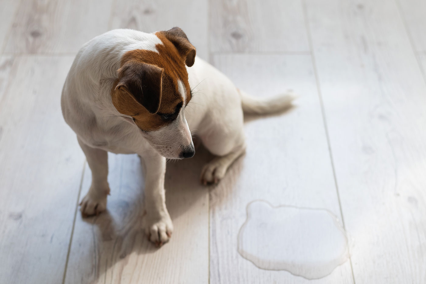 Leben mit einer Niereninsuffizienz