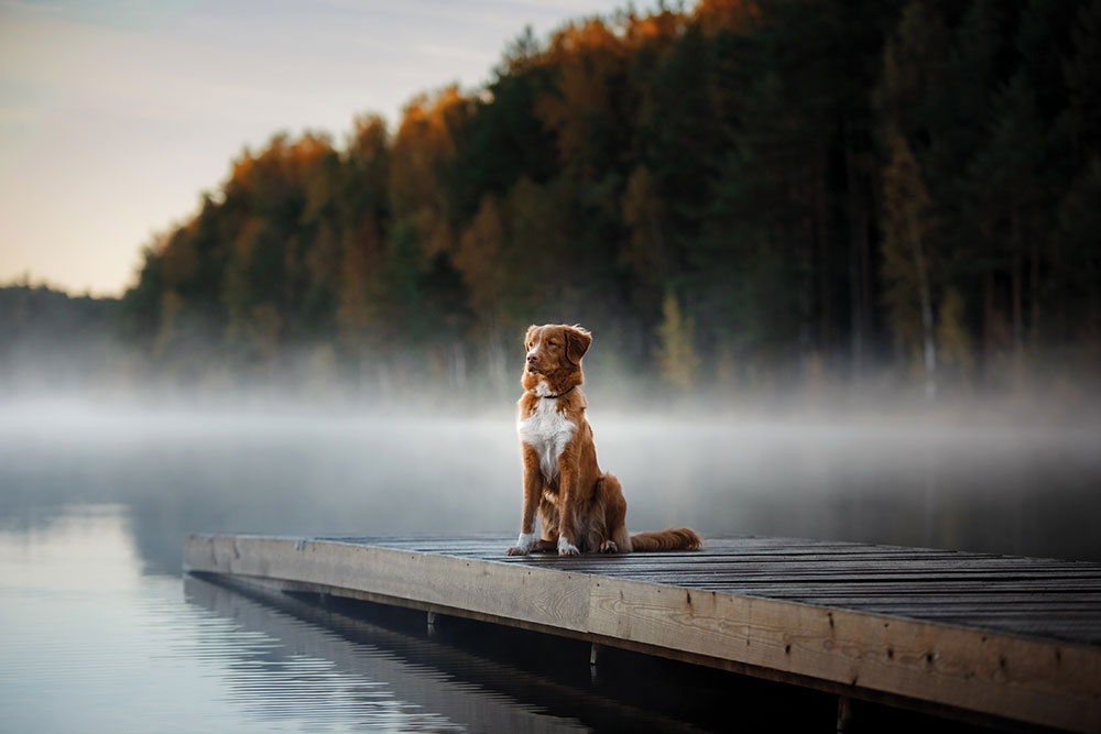 Fotografieren im Winter – Tipps für Fotos mit dem Smartphone