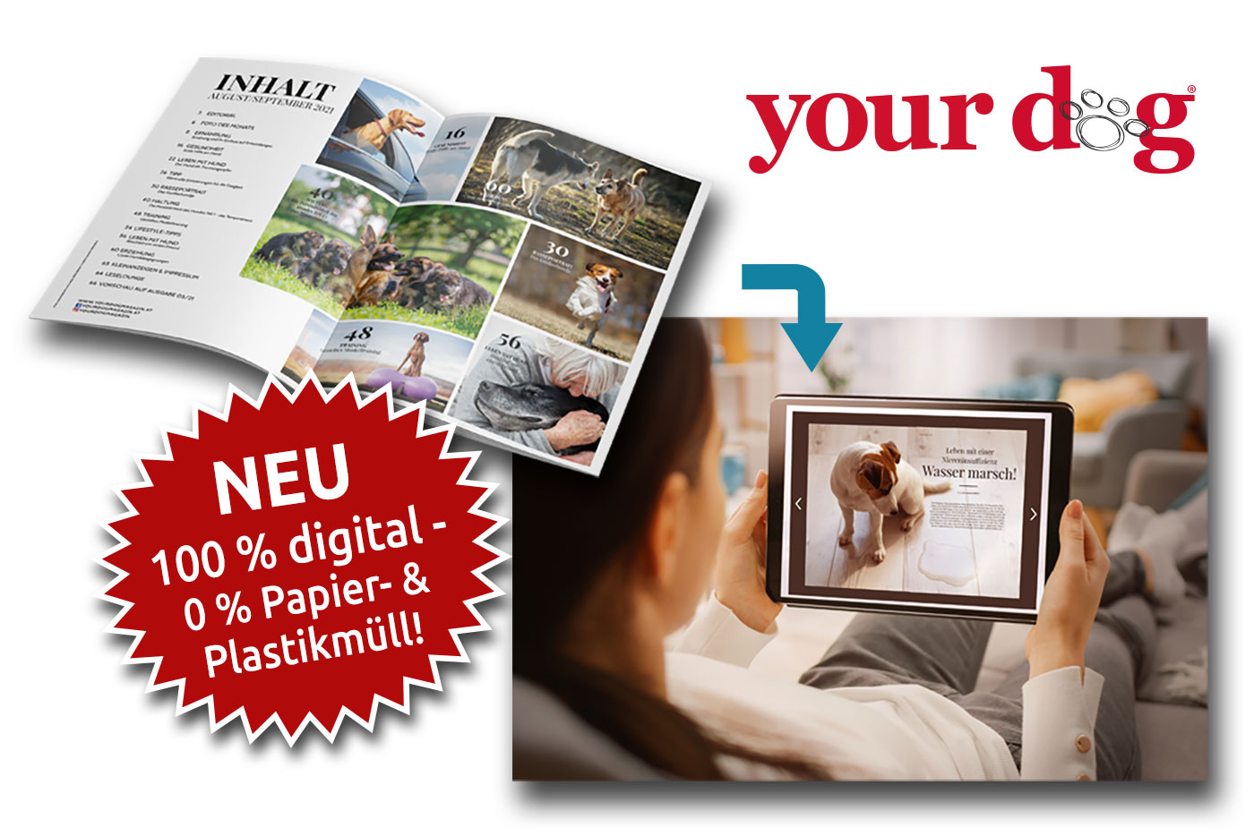 Your Dog wird digital!