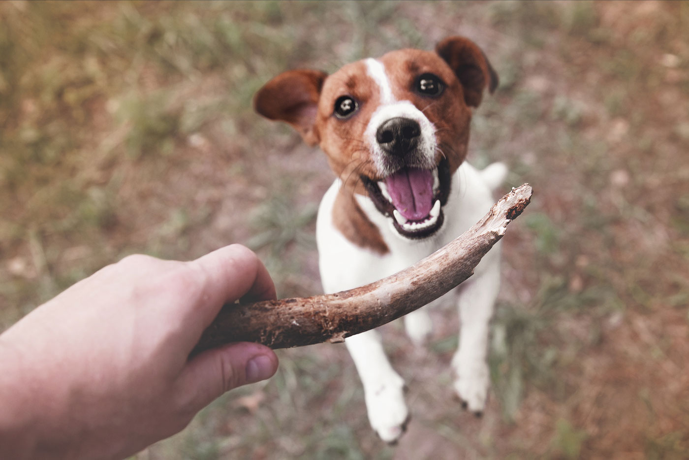 Vorsicht Verletzungsgefahr – gefährliche Spiele