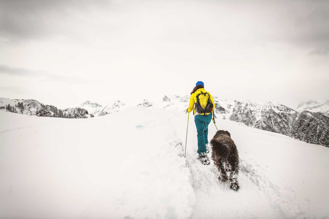 Wintersport: Gemeinsamer Sport mit Ihrem Hund im Schnee